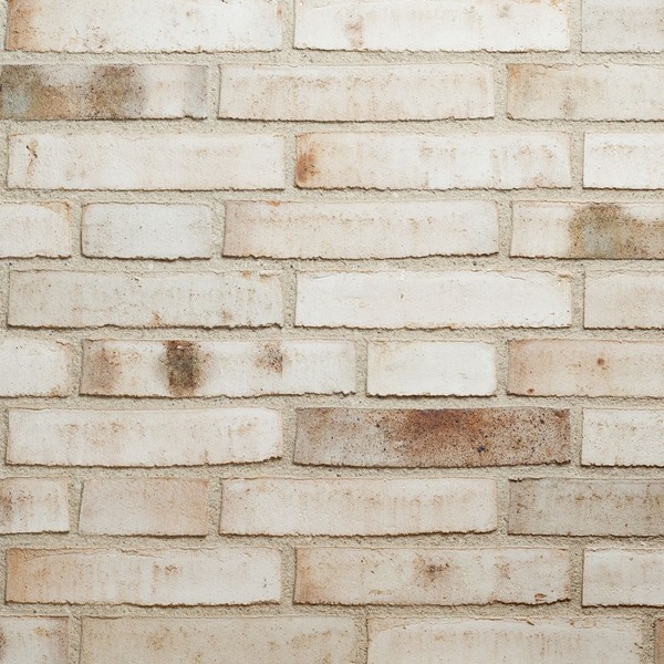 Marshmoor Bricks - Divum White Flashed - MMB-71